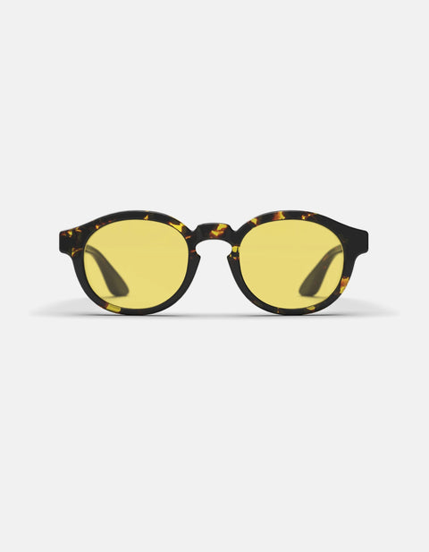 Dan - Yellow Tortoise